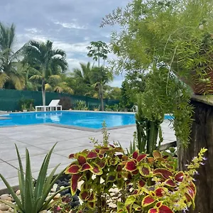 Charmante Maison Avec Piscine , Lamentin Guadeloupe